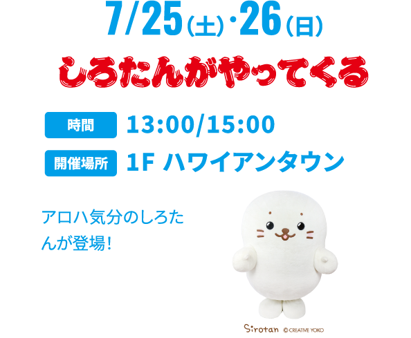 しろたんがやってくる